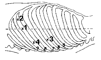 bk_4_2_1.gif (3745 bytes)