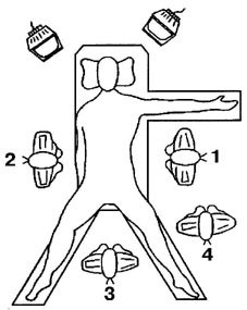 bk_5_1.jpg (20998 bytes)